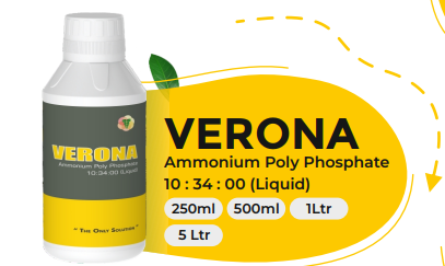 VERONA (Ammonium Poly Phosphate 10 : 34 : 00 (Liquid))