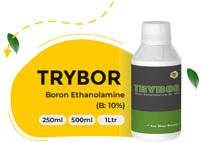 TRYBOR (Boron Ethanolamine (B: 10%))
