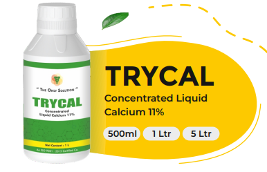 TRYCAL (Concentrated Liquid Calcium 11%)