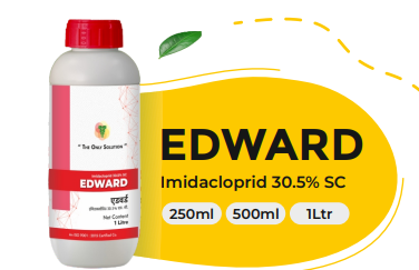 EDWARD (Imidacloprid 30.5% SC)