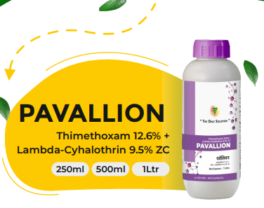 PAVALLION (Thimethoxam 12.6% + Lambda-Cyhalothrin 9.5% ZC)