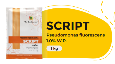 SCRIPT (Pseudomonas fluorescens 1.0% W.P.)