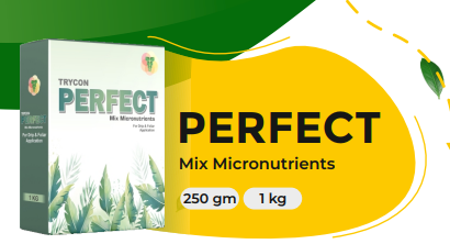 PERFECT (Mix Micronutrients)