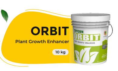 ORBIT