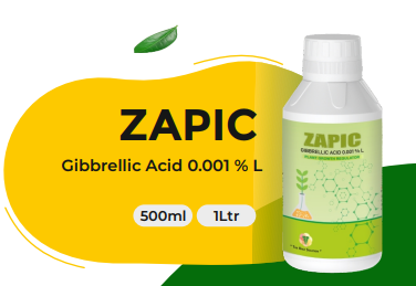 ZAPIC