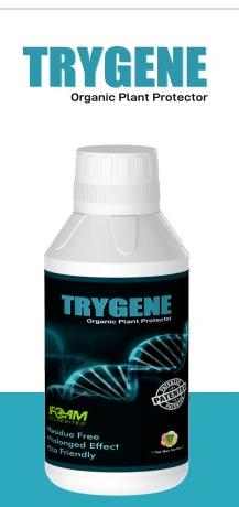 TRYGENE