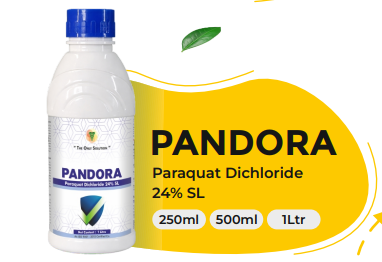 PANDORA (Paraquat Dichloride 24% SL)