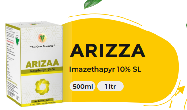 ARRIZA (IMAZETHAPYR 10% SL)