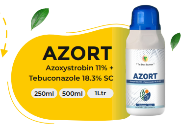 AZORT (Azoxystrobin 11% + Tebuconazole 18.3% SC)