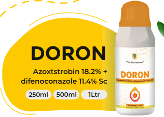 DORON (Azoxtstrobin 18.2% + difenoconazole 11.4% Sc)