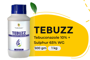 TEBUZZ (Tebuconazole 10% + Sulphur 65% WG)