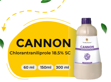CANNON (Chlorantraniliprole 18.5% SC)