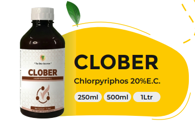 CLOBER (Chlorpyriphos 20%E.C.)